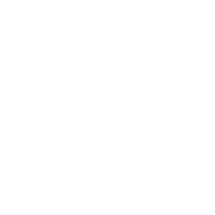 Ville de Bron