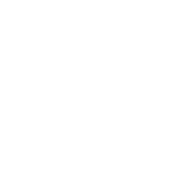VSS