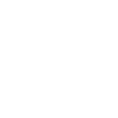 Tribune de Lyon
